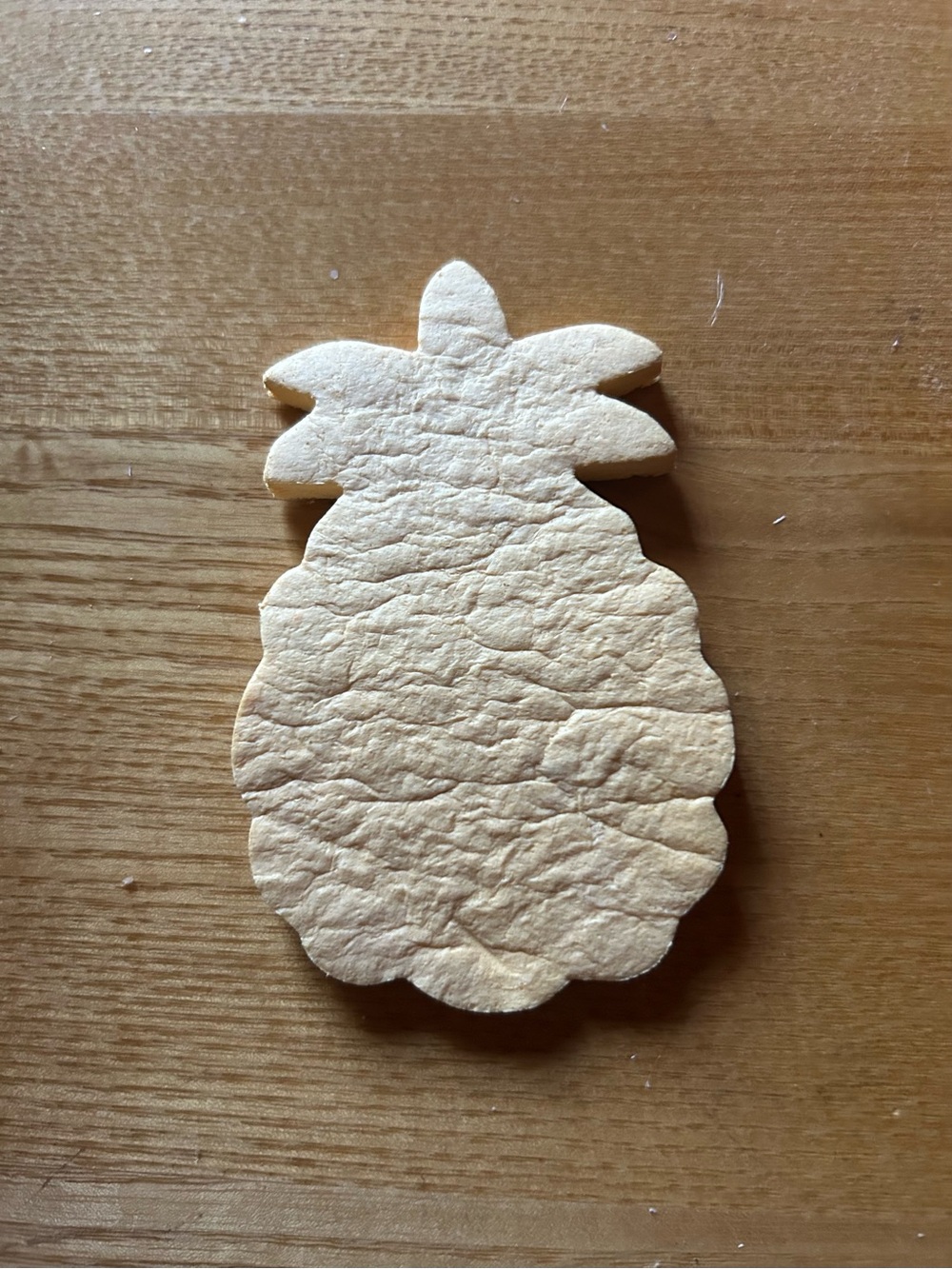 Pineapple 🍍Shaped Sponge